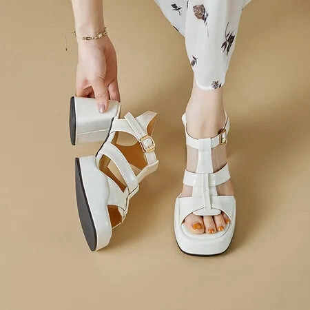 Wide Dress Shoes For Wedding binfenxie 2024 New High Heels Gladiator Sandals Woman Open Toe Sexy Block Heel Platform Shoes Summer Women Sandals Dress Shoes