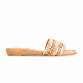 Beige Formal Slipper FR8359 Garry The Snail Slippers
