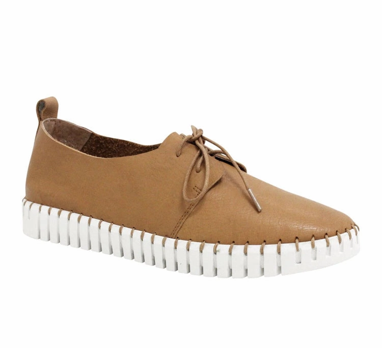 Django & Juliette Huskies ~ Tan ~ Sunset Punch Hike Classic Appeal