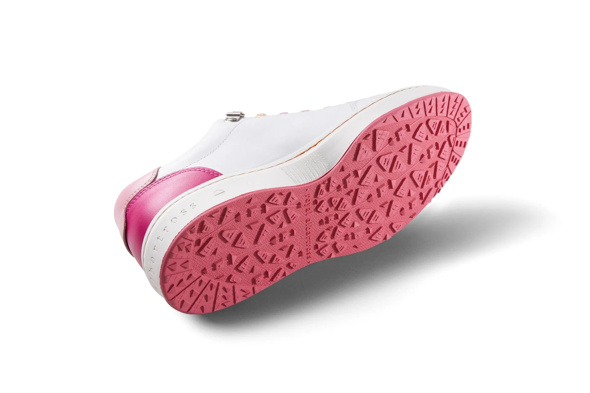 Drinking Fieldfox | Dream White/Pink