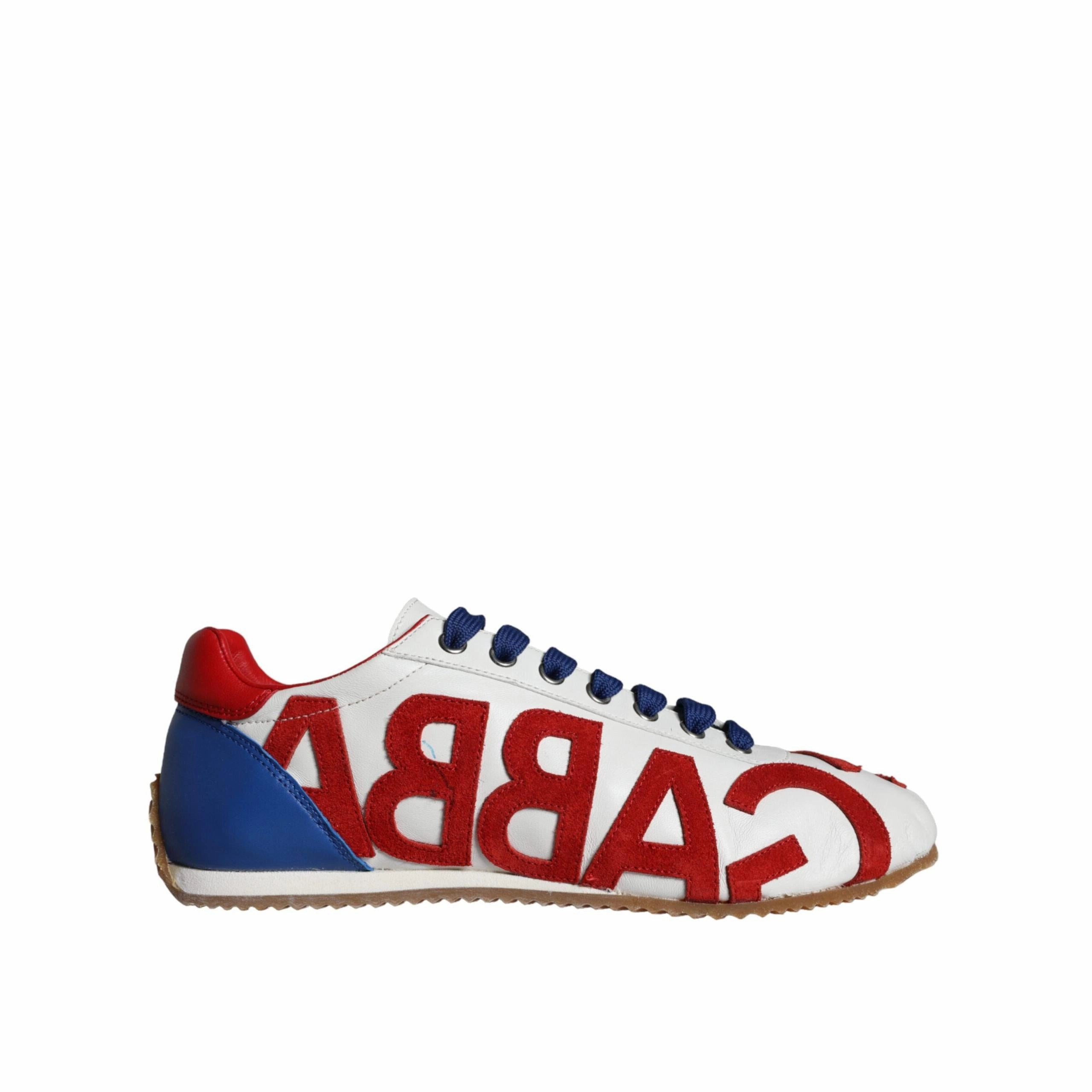 Dolce & Gabbana Multicolor Leather Logo Casual Sneakers Shoes Easy Rider Sneakers