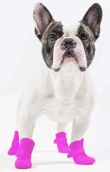 Adidas Torsion Super Shoes Pet Life  Elastic Protective Multi-Usage All-Terrain Rubberized Dog Shoes - Set of 4