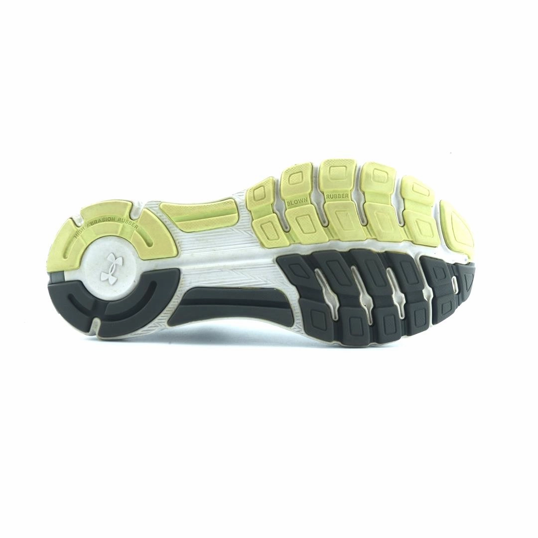 Running Shoes Pic UNDER ARMOUR SPEEDFORM GEMINI 3