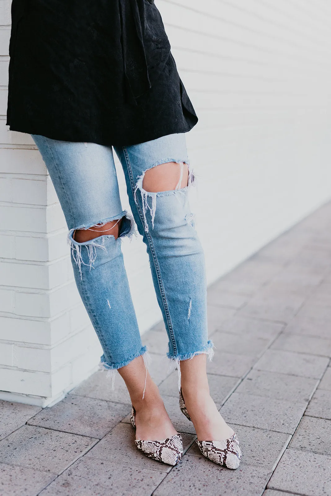 Snake Charmer Rainy Day Celebrate Walk