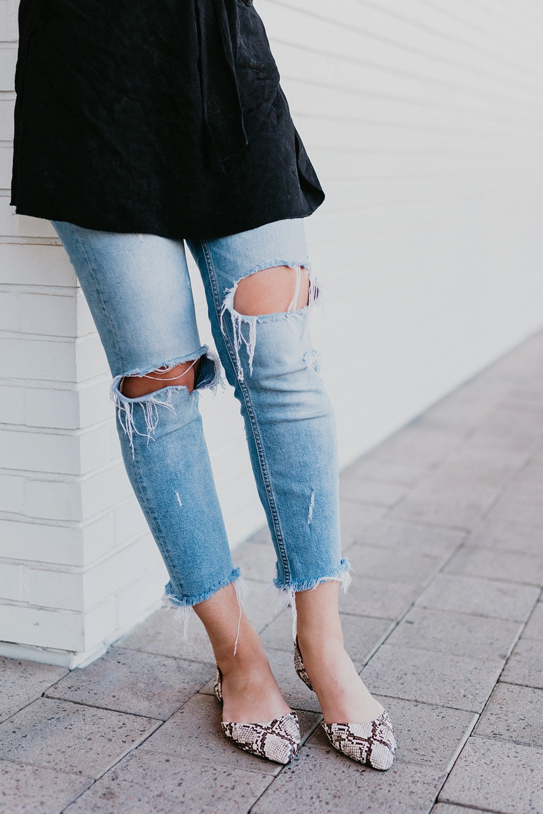 Snake Charmer Rainy Day Celebrate Walk