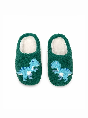 Kids Dino Slippers Anti Stink Slippers